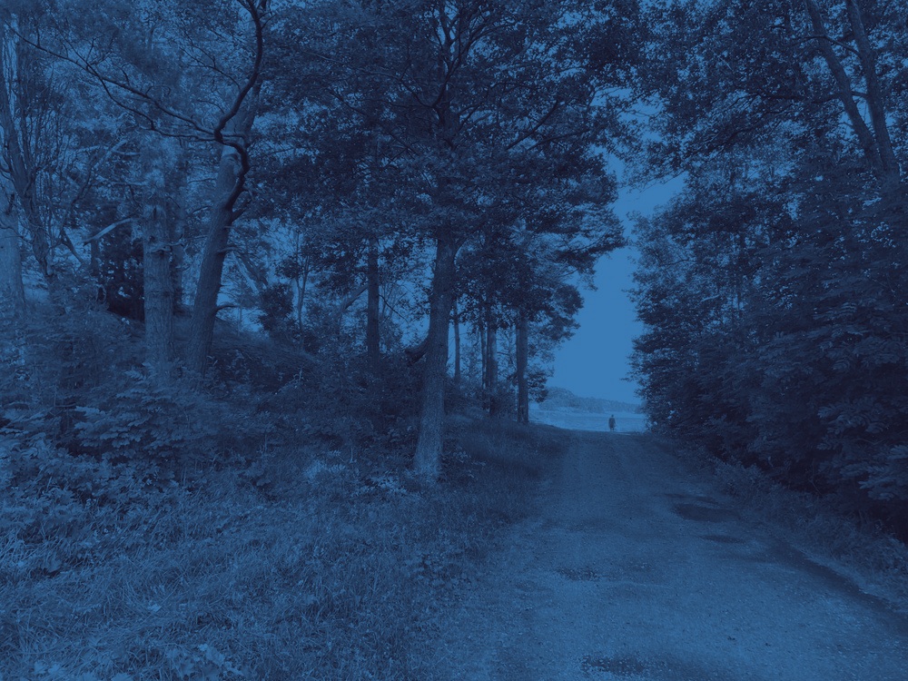 duotone